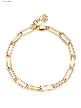 Dainty Oval Paper Clip Link Chain Bracelet 18K Gold Plated Chunky Radial Rolo